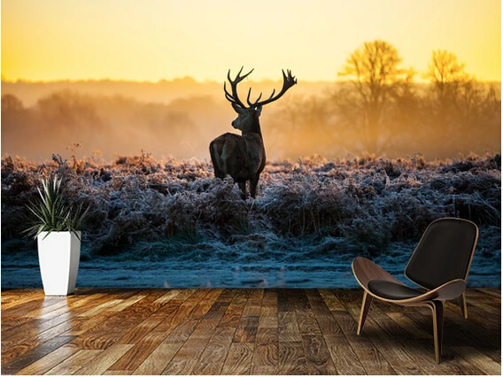 

Custom papel DE parede infantil. Red Deer Sunrise for the sitting room the bedroom TV setting wall vinyl wallpaper