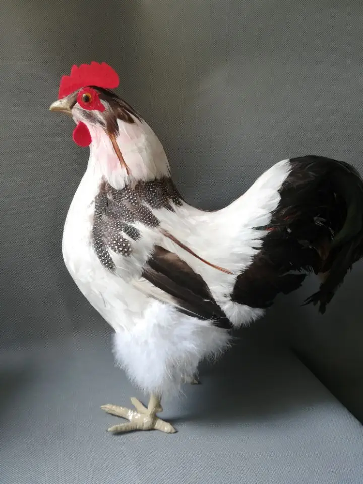 1:1 model simulation cock plastic&feathers colourful white cock model about 42x40cm, home, farm decoration gift w0170