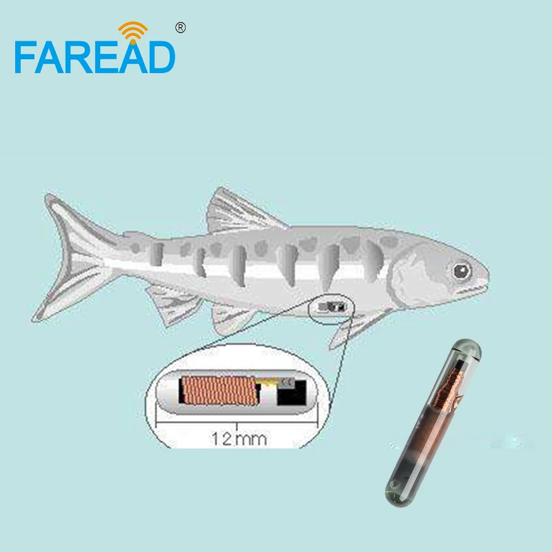 Free shipping IP68 2.12*12mm 125KHz T5577 FDX-A fecava RFID electronic implant glass tag for fish arowana animal ID microchip