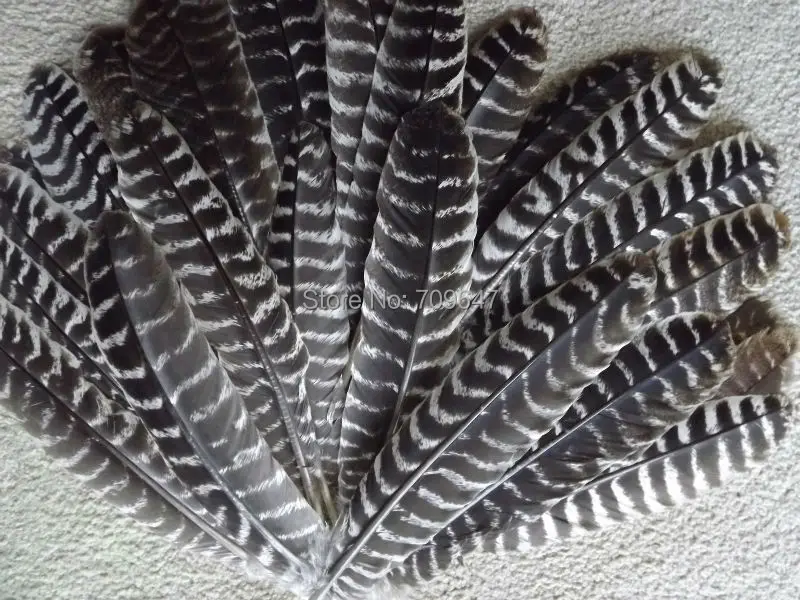 

20/50pcs/Lot! 10-12inches 25-30cm Long Turkey Wing Feather Quills,Natural brown stripe feathers for millinery, DIY crafts, decor