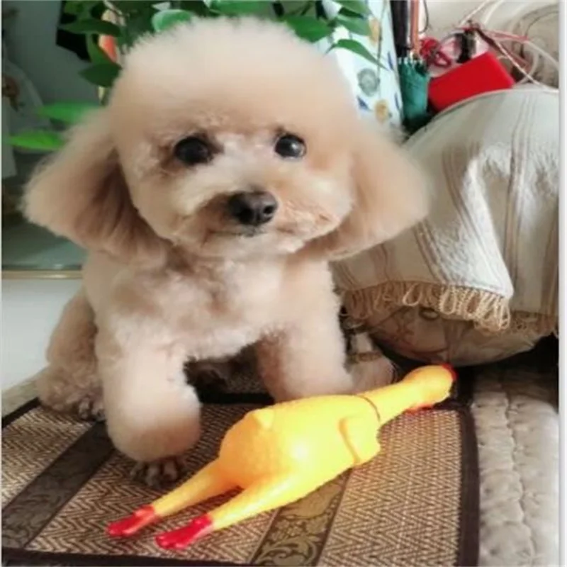 

1 шт., жевательная игрушка для собак