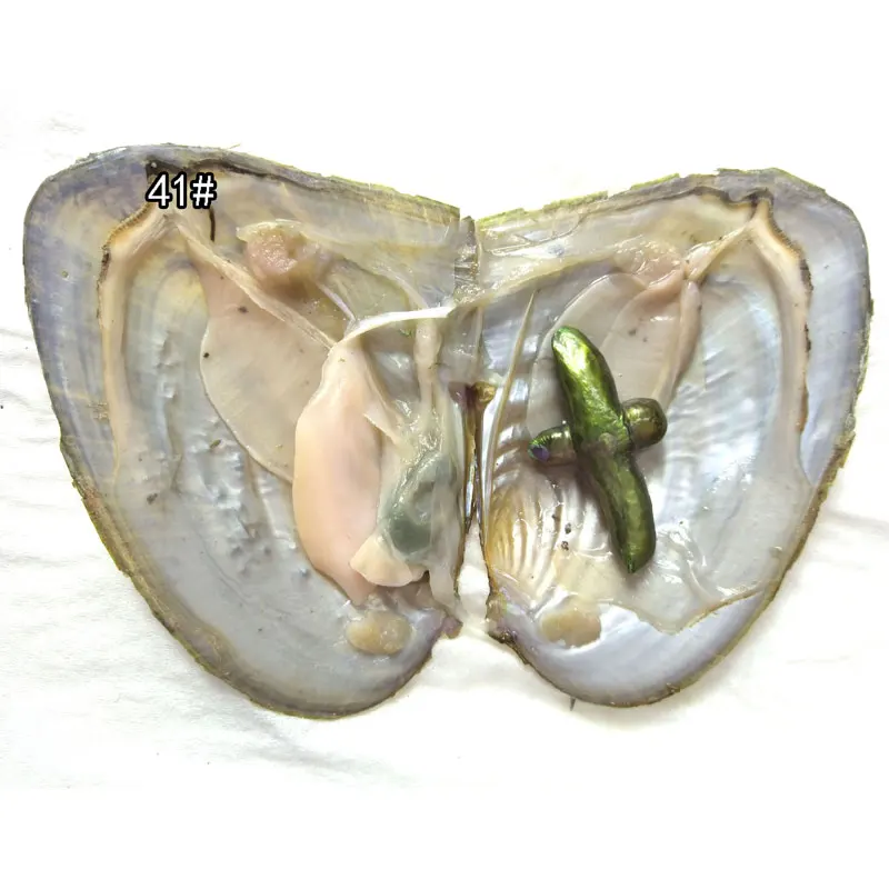 50pcs Vacuum Packed Oyster with Single 15-40mm Army Green Natural Baroque Cross Pearl