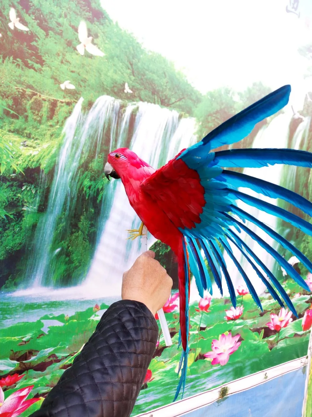 

large 50x65cm blue&red coloured feathers parrot model foam&feathers spreading wings bird handicraft,home decoration gift a2015