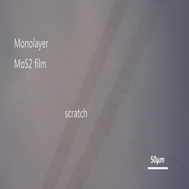 Molybdenum disulfide 05: Wafer substrate MoS2