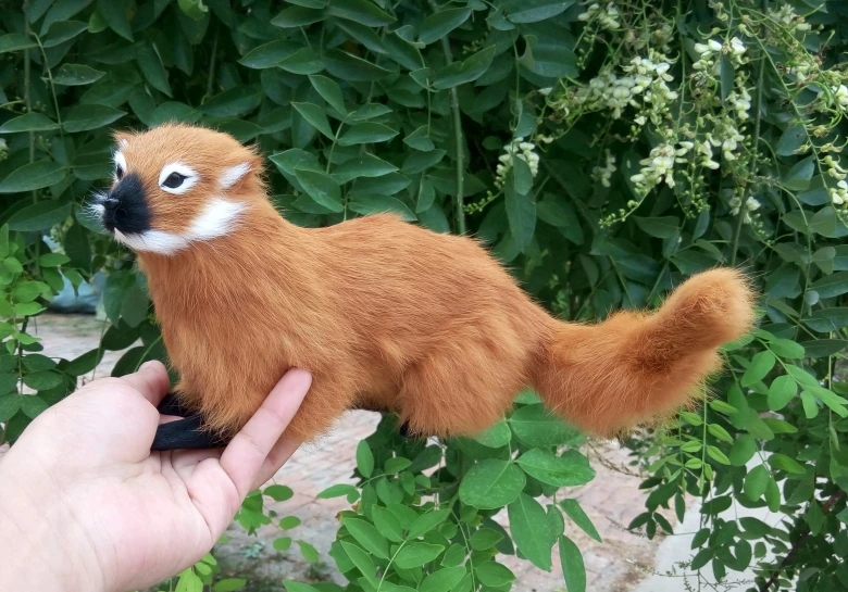 

about 34x12CM simulation Yellow-bellied weasel model, polyethylene&furs handicraft Figurines home decoration toy a2739