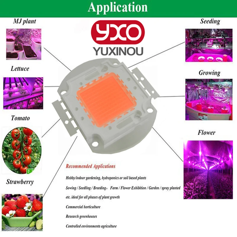 Chip de luz led para cultivo de plantas de interior, diodo de espectro completo de 50W y 100W, 30-34v, 3A, 1 unidad