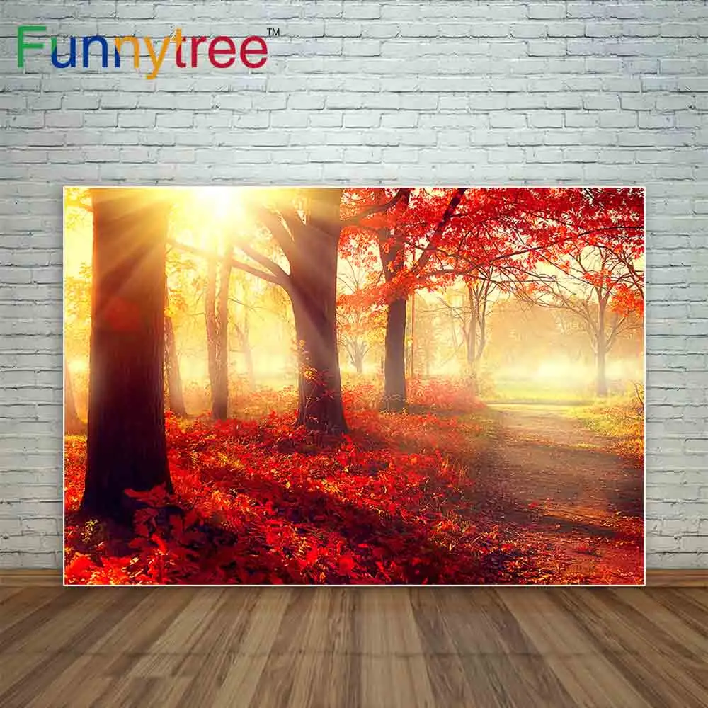 Funnytree autumn photography backgrounds sunset park fall leaves path tree hazy computer Printing Background for photo studio