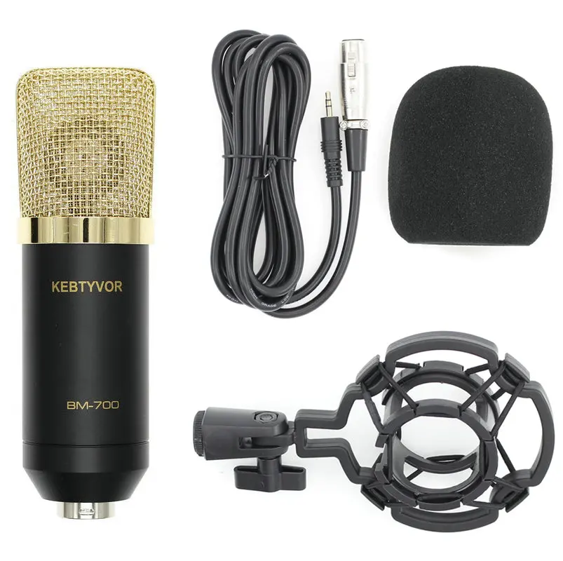 Condenser Microphone BM700 Professional Cardioid Studio Condenser Mic for Recording with Shock Mount