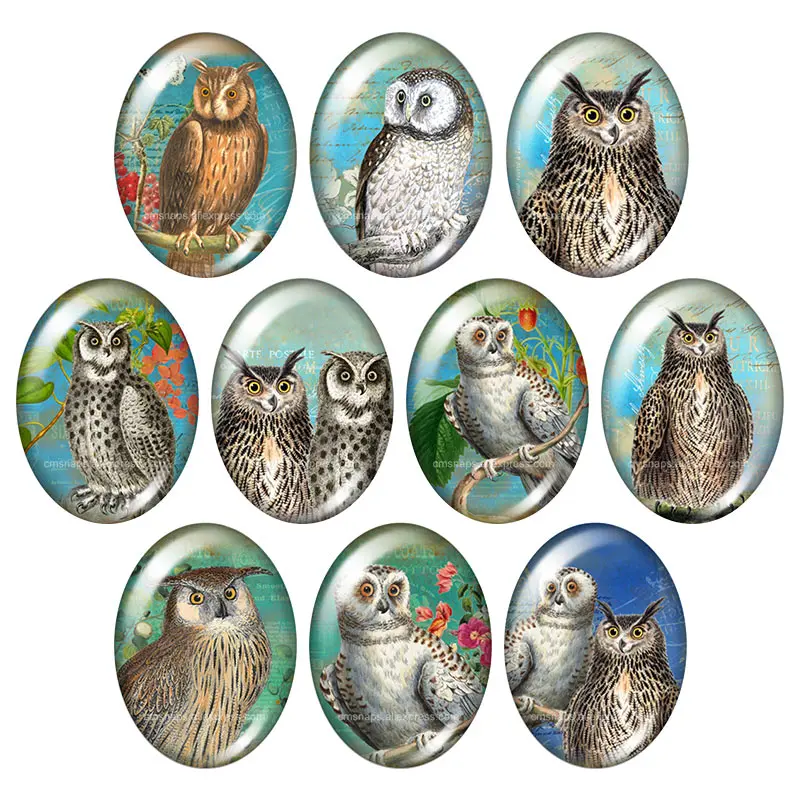 Beauty Vintage Owl Birds Hope 10pcs 13x18mm/18x25mm/30x40mm mixed Oval photo glass cabochon demo flat back Jewelry findings