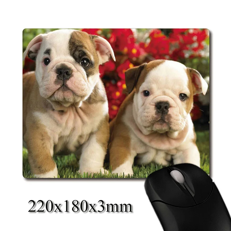 Two cute baby english bulldog Puppies printed Heavy weaving anti-slip rubber pad office mouse pad Coaster Party favor gifts