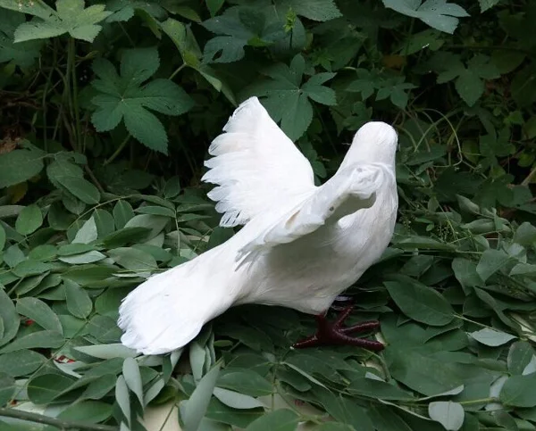 large 18*30*16CM plastic&feathers white dove peace bird hard model craft home decoration toy gift w0184