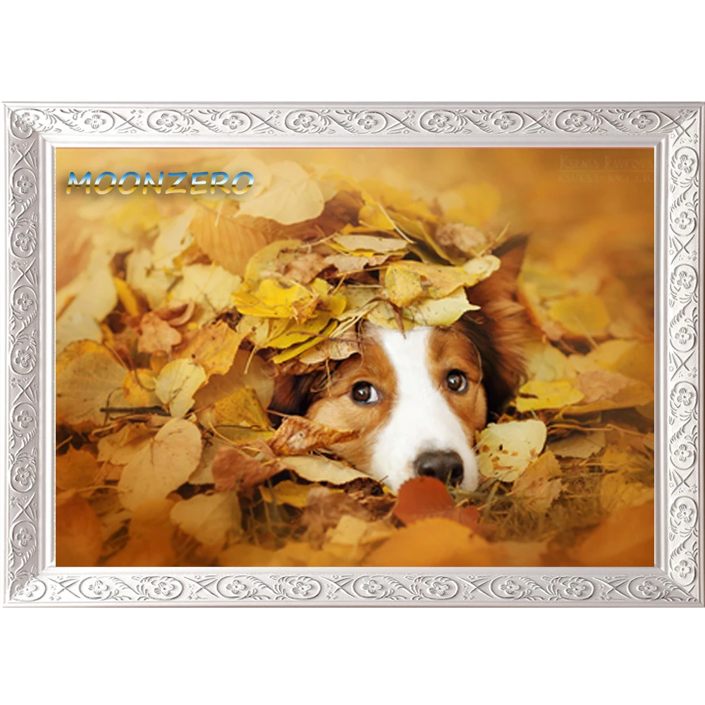 Ray in Autumn 5D Diamond Painting Cross Stitch Wall Sticker Crystal Embroidery Resin Square Diamond Mosaic Needlework Handicraft