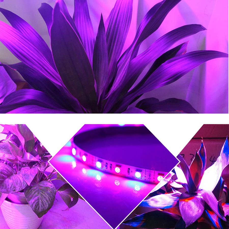 LED Plant Light 1M 2M 3M 4M 5M DC12V SMD 5050 Flexible LED Grow Strip Light for Aquarium Greenhouse Hydroponics Plant Vegetable