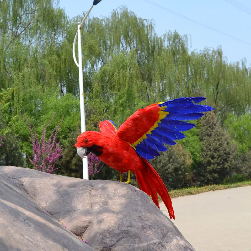 

large 40x60cm colourful feathers Macaw parrot ,spreading wings,Handmade model,polyethylene& feathers parrot decoration toy w3970