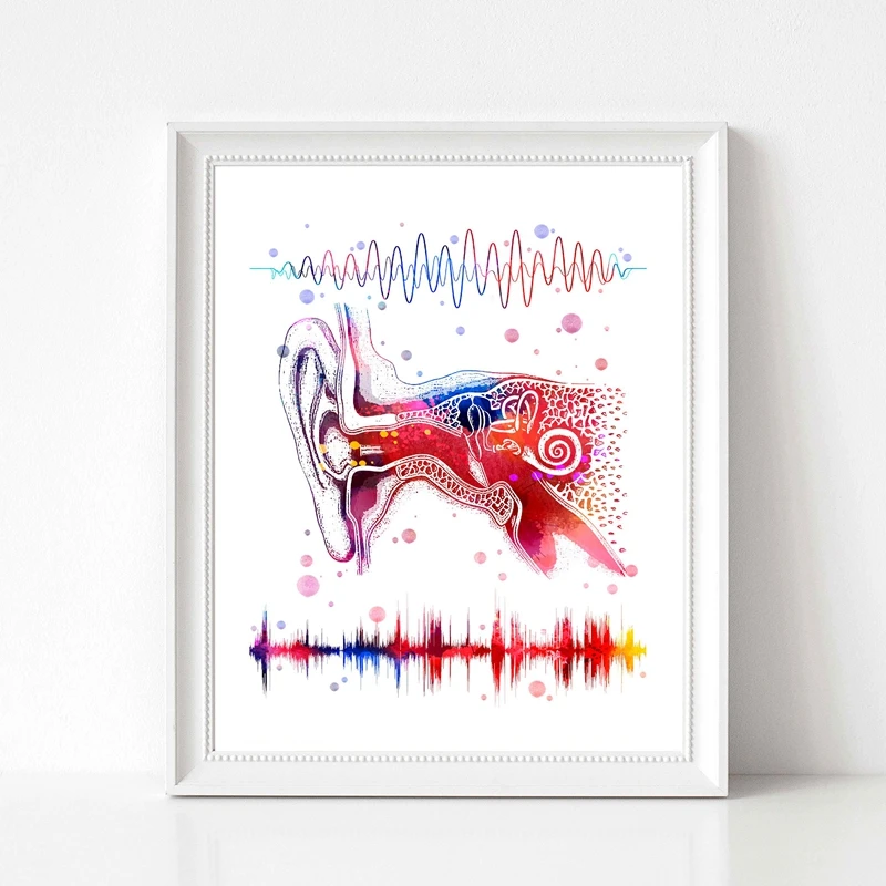 Ear System Medical Anatomy Wall Art Canvas Poster Prints Binaural Hearing Art Audio Wave Painting Clinic Doctor Office Decor