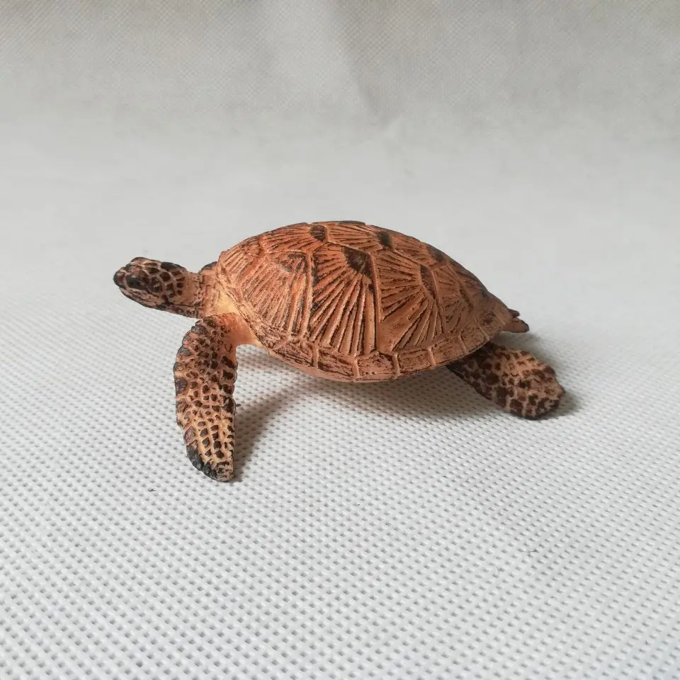 real life toy tortoise Static Plastic toy about 8x7cm model Environmental material Cognition baby toy gift h0022