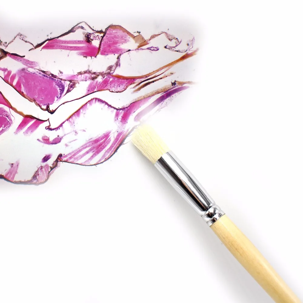 Кисть для рисования маслом, 4 шт.