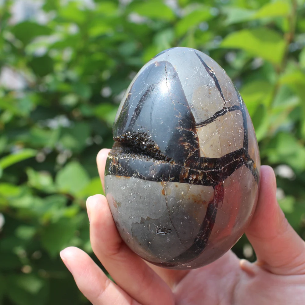 420g Natural curvature of the furnishing articles Turtle grain stone egg  Ball Septarian nodule  Crystal Healing quartz 20