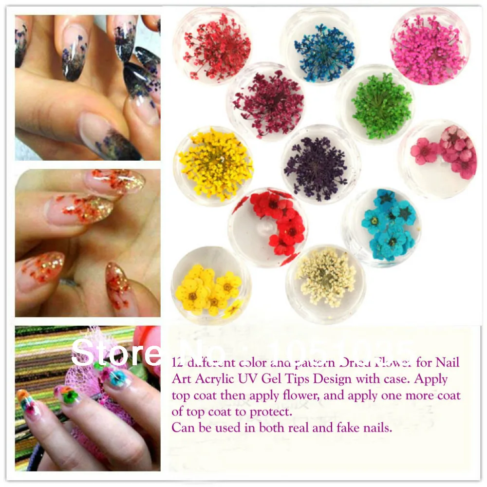 Nail Art Droge Gedroogde Bloemen Decoratie Met 12 Verschillende Kleuren