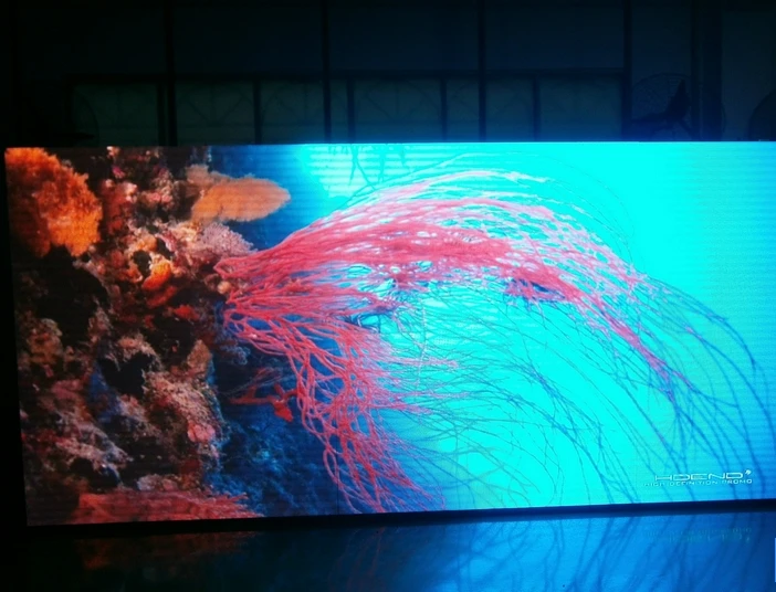 LED Display Digital Signage Outdoor Stadium P5 LED Display XXX Video Tahap LED Display