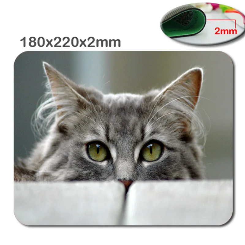 Hot Professional custom 2015 trasporto libero 1 pz gatto divertente close up professionale gaming mouse pad/mouse ottico pad