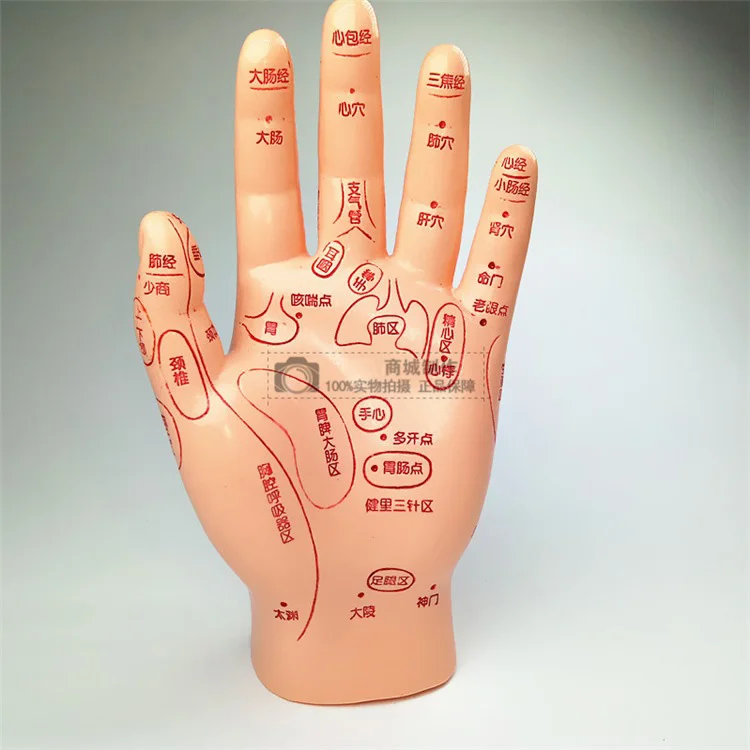 Free Shipping!! Top Level Acupoint Hand Mannequin Hand Model Fashionable On Sale