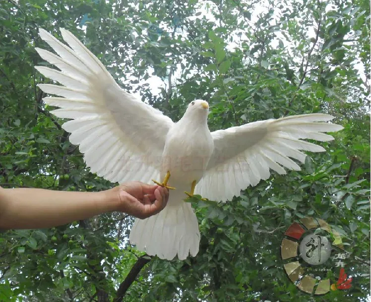 

simulation dove feathers bird 42x80cm spreading wings peace bird model craft,photography,teaching props,decoration a1915