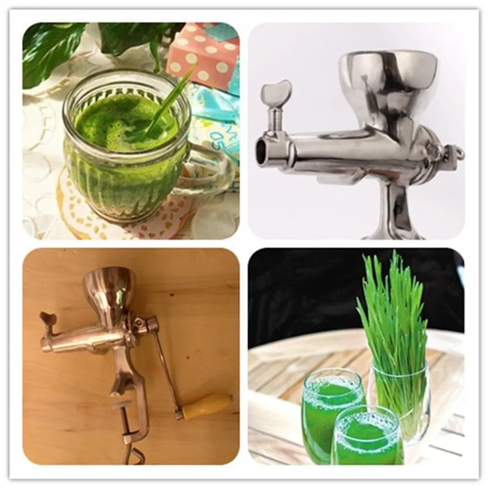 Stainless steel wheatgrass fruit vegetable juicer juicing machine