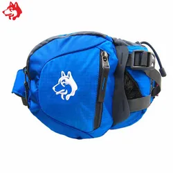 Promotional hot sale fanny Pack Custom Waist Bag Blue/Orange/Purple/Army Green outdoor Sports running jogging canter Waist Bag