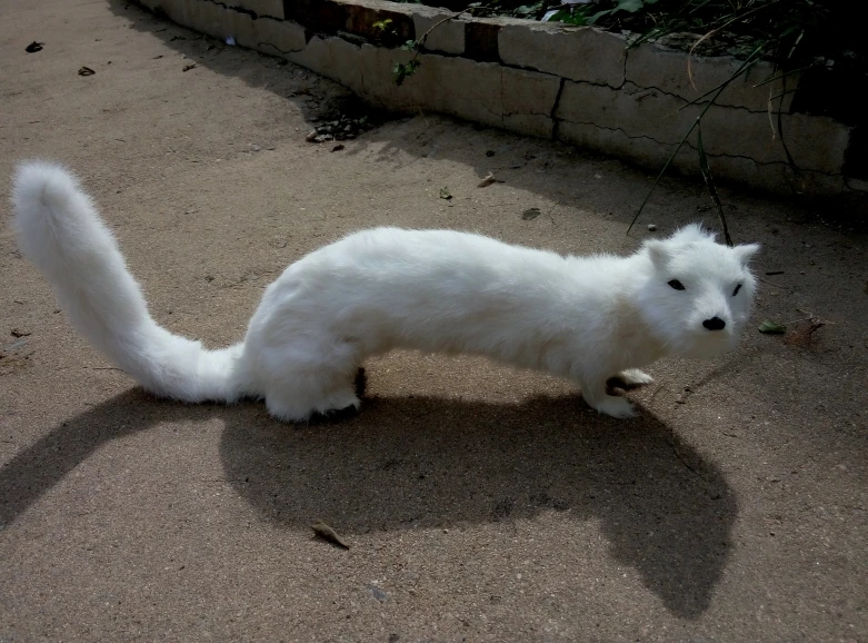 white simulation weasel toy resin&fur creative weasel doll gift about 40x11x15cm 1193