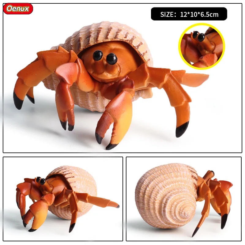 Oenux Ocean Animals Simulation Hermit Crab Sea Life Animal Model Figurines Crab Action Figures Collection Toys For Kids Gift