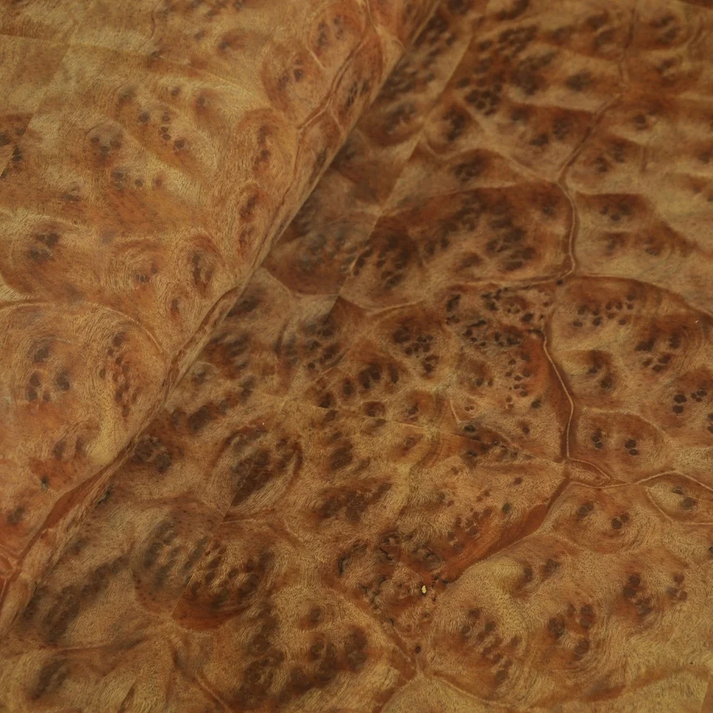 Natural Burl chapado amarillo alcanfor