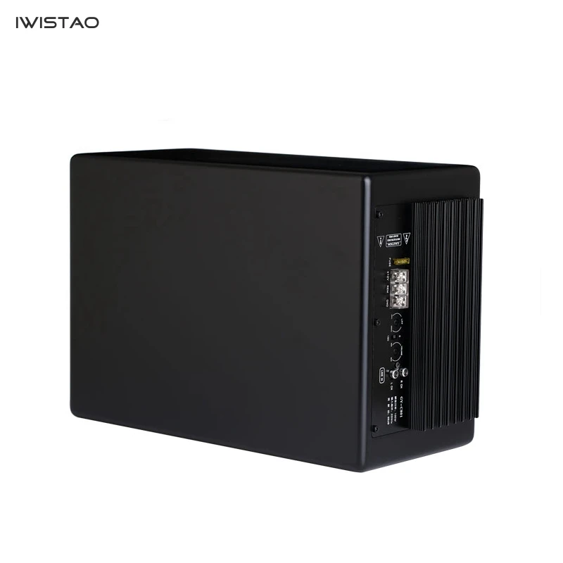 IWISTAO 8 inch Car Active Subwoofer DC12V 100W 45-150Hz 88Db Car Audio Subwoofer Modification Black