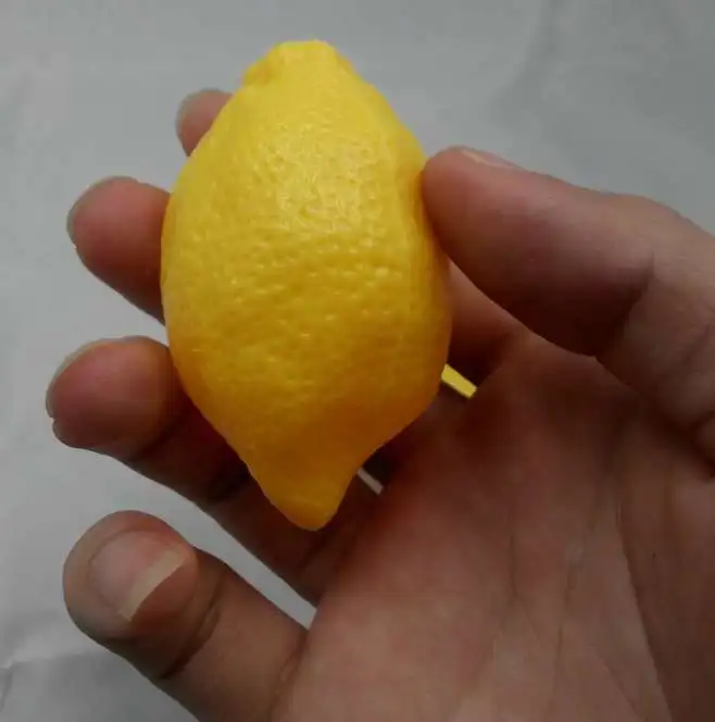 Spielen Sie die Simulation von Lebensmittelnüssen, Erdnüssen, Langlebigkeit, Nuss, Lernspielzeug, Kindergartenunterricht 2021