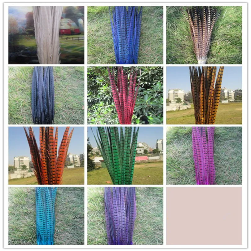 Wholesale 10 / lot of beautiful pheasant feathers 20-22 inch / 50-55 cm variety of colors optional dance celebration decoration