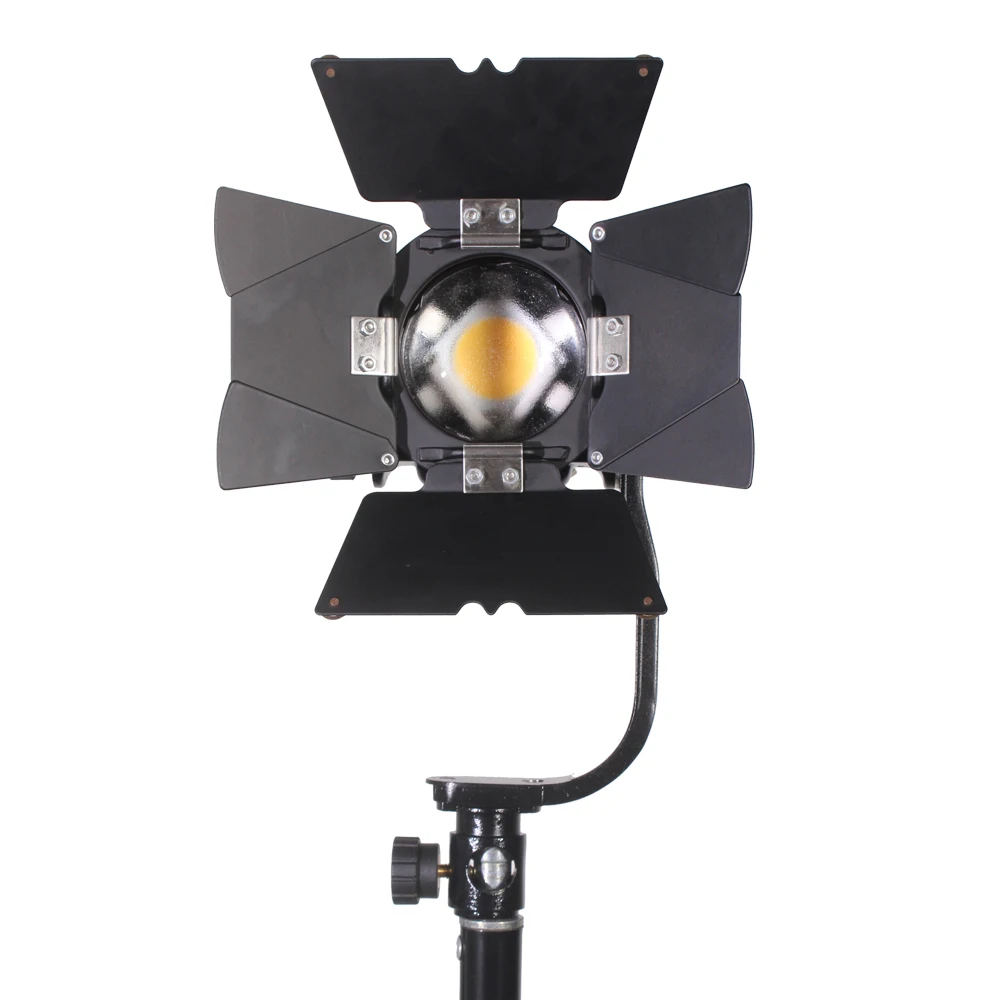 FW-500D 50W Mini Portable LED Fresnel Spot Lumière Vidéo Continue pour Film Caméra Vidéo Studio