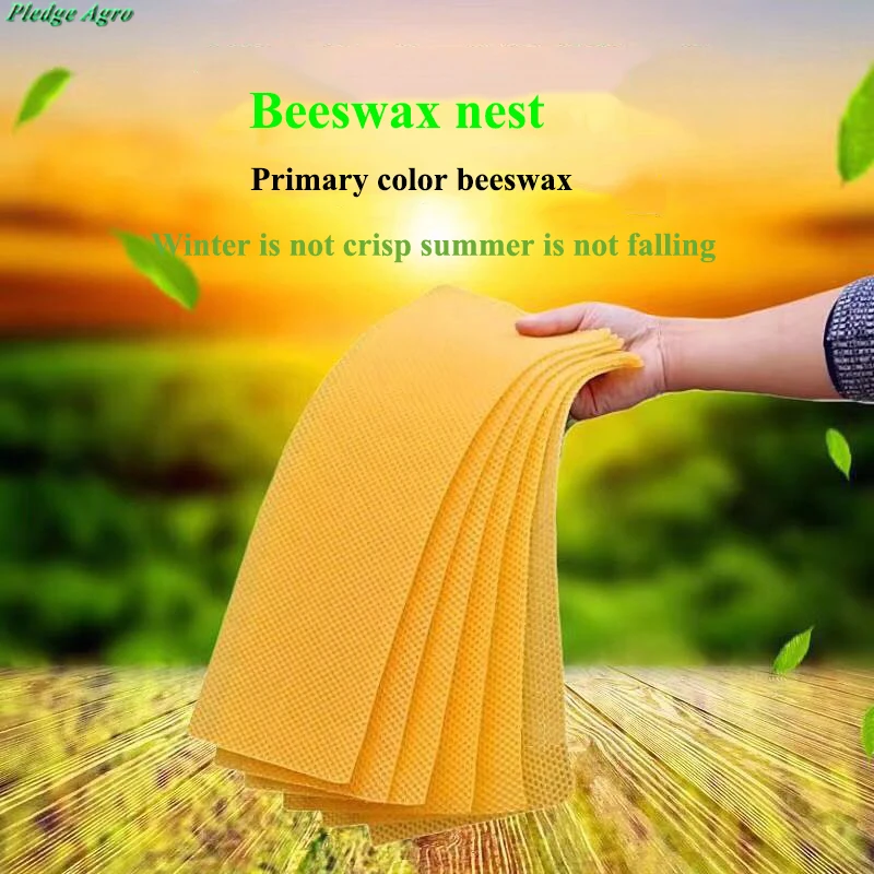 Beeswax Foundation For Bees Sheet Tool Bee Honeycomb Beekeeping Agriculture Honey Beekeeper Beehive Tools Handmade Candle