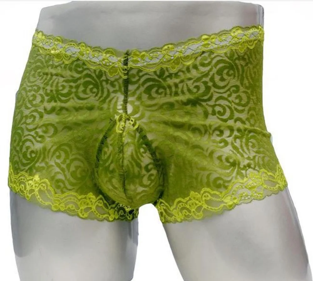 Sissy Gay Panties Lace Men Underwear Sexy Transparent Big Boxer ZJH884P