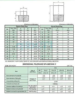 3000 Psi 3/4 "Npt 304 Rvs Hex Hoofd Plug End Cap Water Gas Olie
