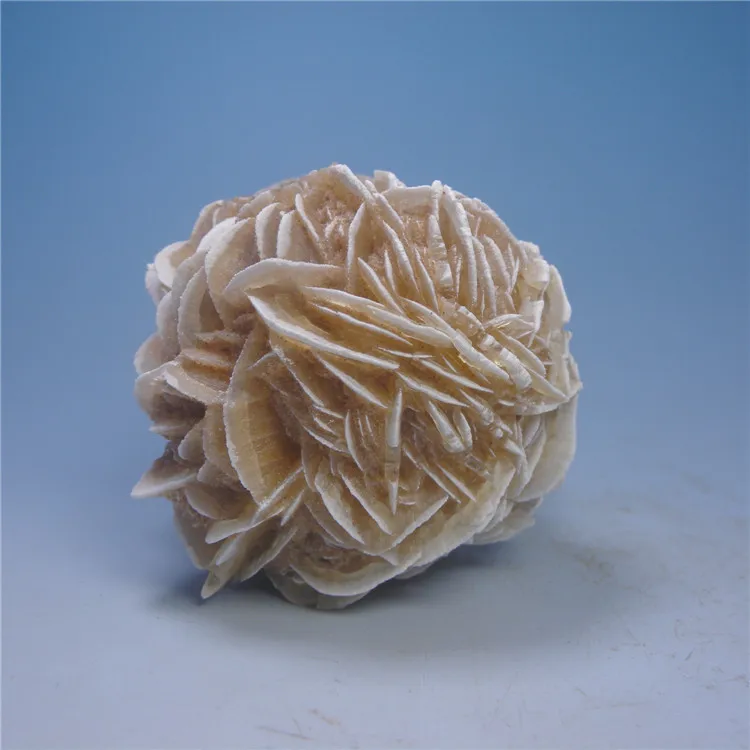 Mexico desert rose stone natural mineral mineral ore standard collection of ornaments of the original stone-free processing