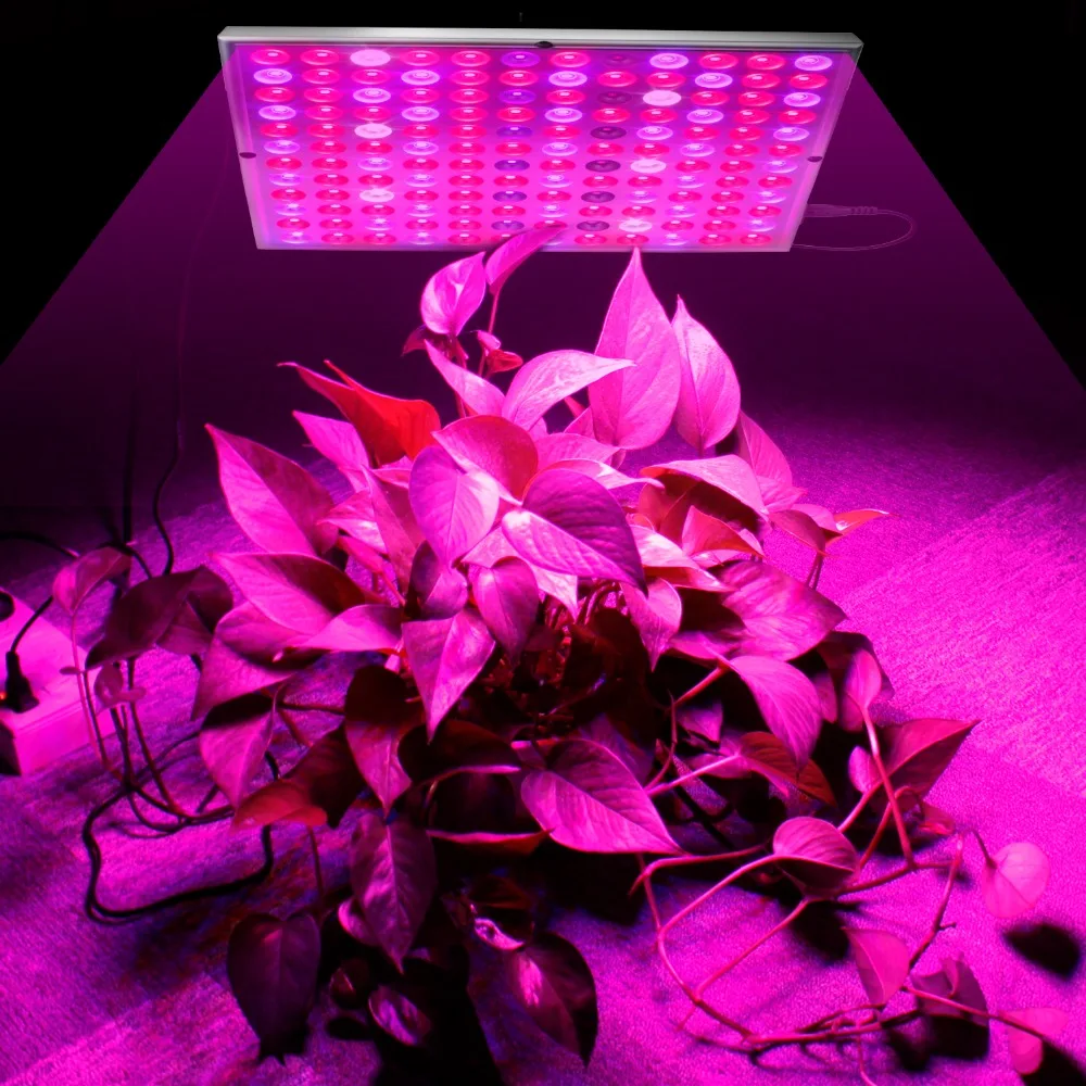 Growing Lamps LED Grow Light 25W AC85-265V Full Spectrum Plant Lighting Fitolampy For Plants Flowers Seedling Cultivation