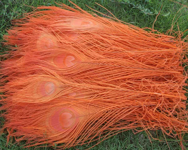 

Wholesale 50 PCS beautiful orange 25-30 cm/10-12 inches high quantity peacock feathers all sorts of adornment