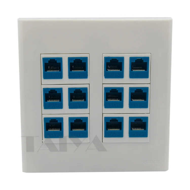 2 Gang No Screw 120X120mm Style 12 Ports CAT6 RJ45 Female To Female Wall Plate