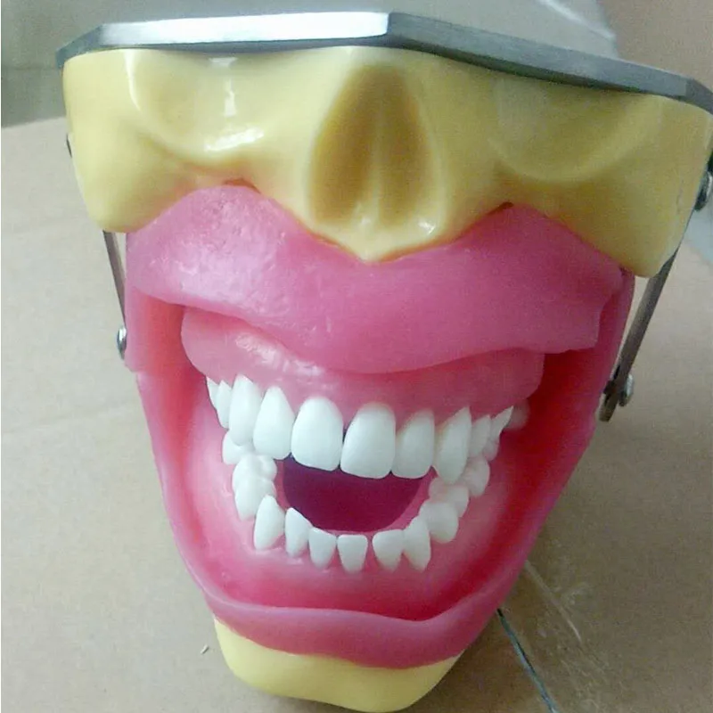 

Medical Teaching Dental Anesthesia Extraction Model for Tooth Practice