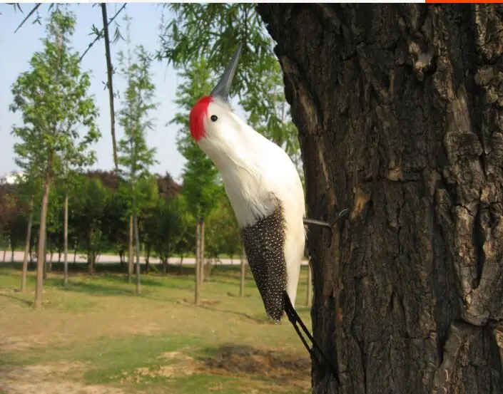 new simulation woodpecker model foam& furs white bird gift about 35cm 1158