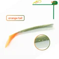 Orange tail