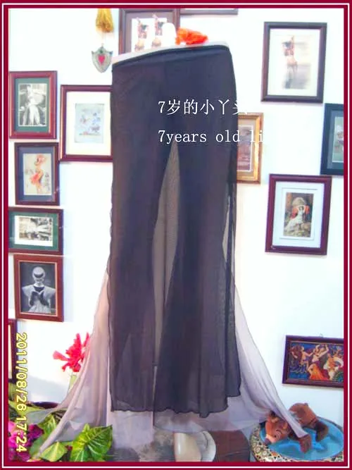 

Transparent Thin Skirt With Open Slit Belly Dance CX03