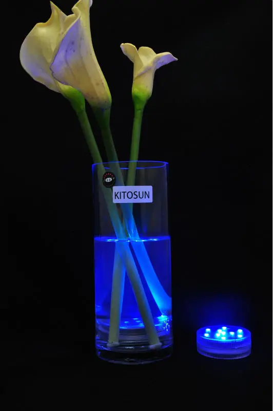 3AAA Battery Operated IR Remote Controlled 10 Multicolors SMD LED Vase Light,Submersible Led Light,Waterproof Floralyte Light