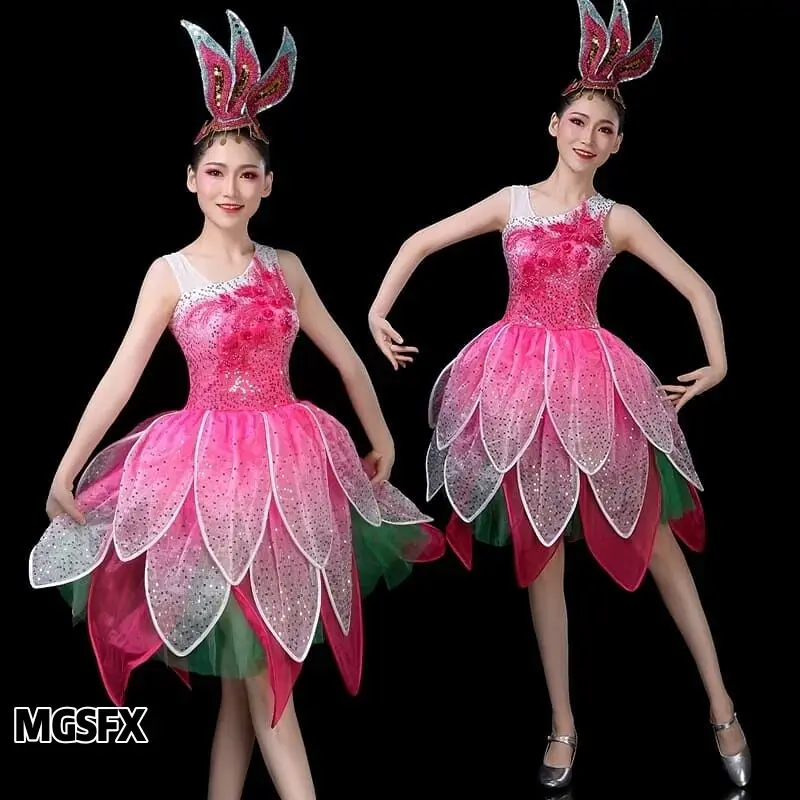 

Modern dance dress Latin dancewear Ballet costume jazz outfits skirt stage performance show