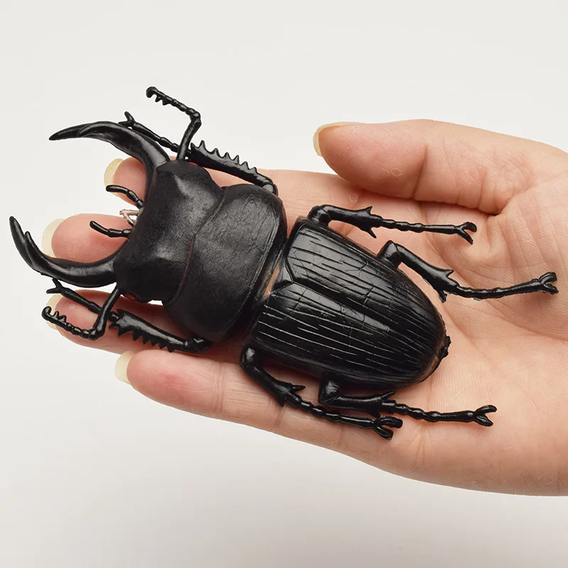 6style 13cm Simulation beetle Toys Lifelike Model Simulation insect toy nursery teaching aids children's collection toy dress up